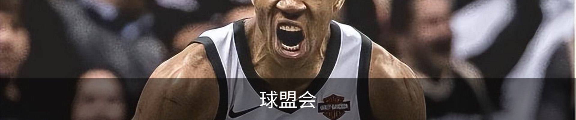 球盟会